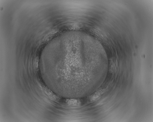 X0000089970230200707131431