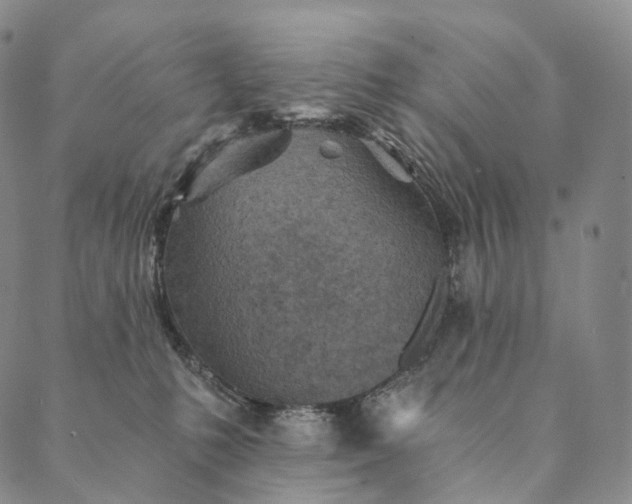 X0000089970231200707131431