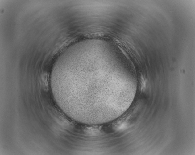 X0000089970232200707131431