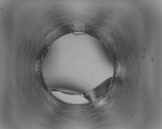 X0000089970233200707131430