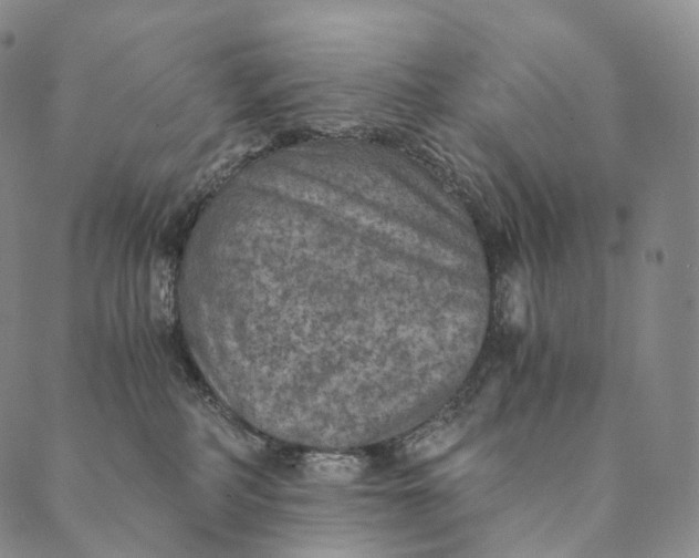 X0000089970234200707131430