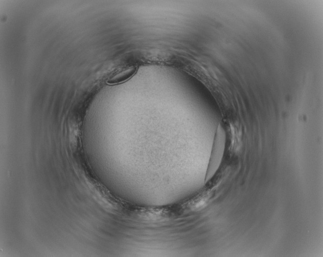 X0000089970235200707131430