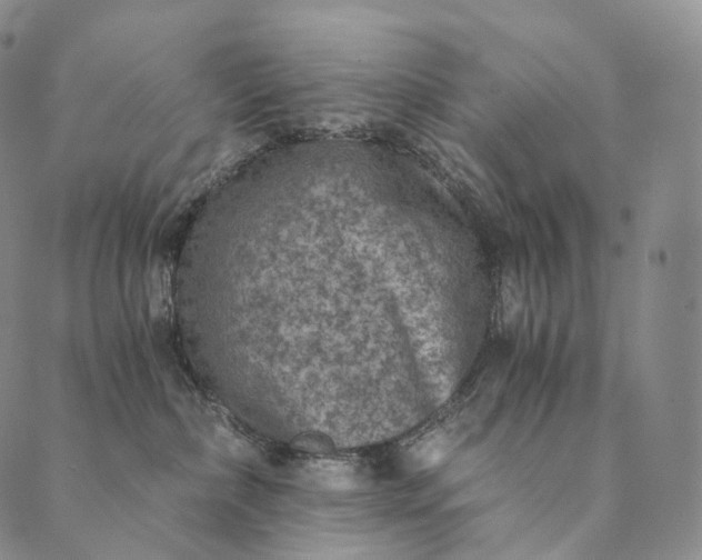 X0000089970236200707131430