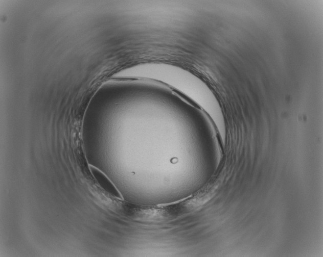 X0000089970237200707131430