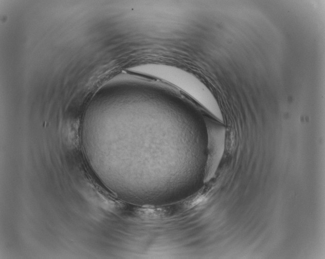 X0000089970239200707131430