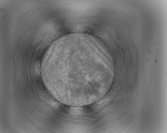 X0000089970240200707131430