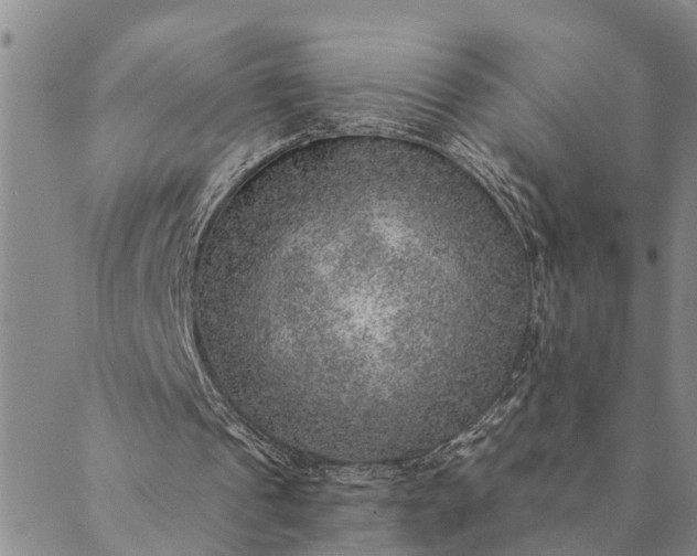 X0000089970241200707131430