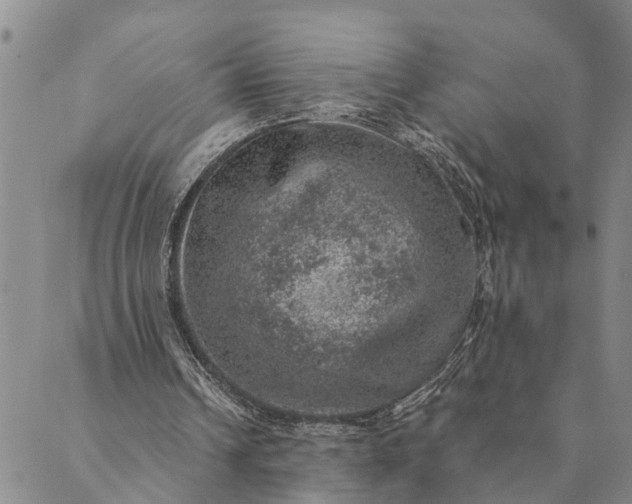 X0000089970242200707131430