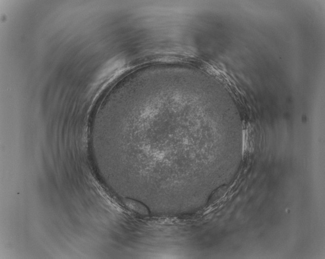 X0000089970243200707131430