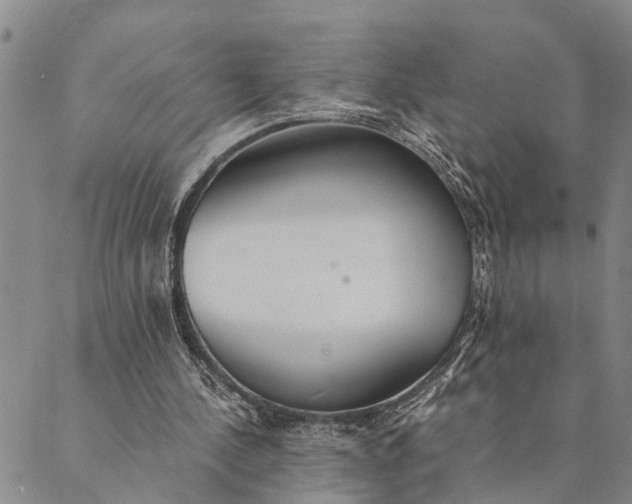 X0000089970244200707131430