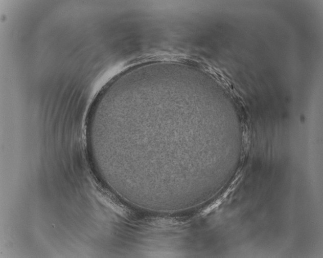 X0000089970246200707131430