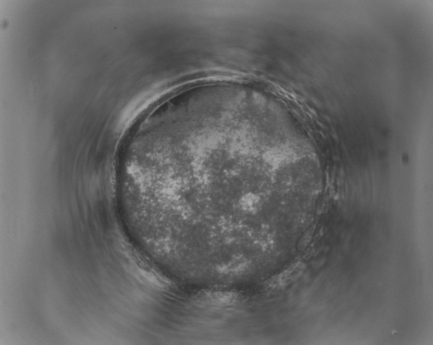 X0000089970247200707131430