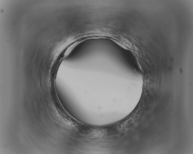 X0000089970248200707131430