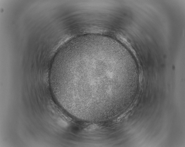 X0000089970249200707131430