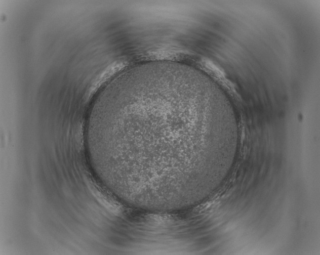 X0000089970250200707131430