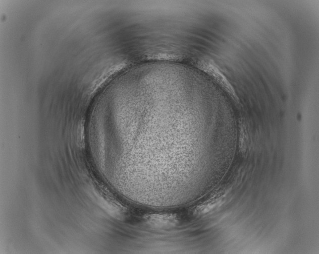 X0000089970251200707131430