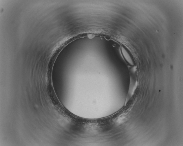 X0000089970252200707131430