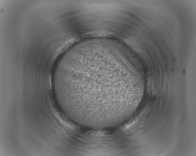 X0000089970254200707131430