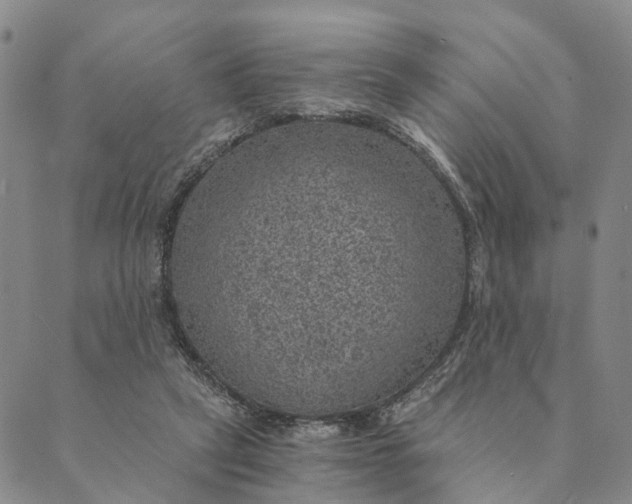 X0000089970257200707131430