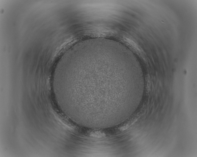 X0000089970258200707131430