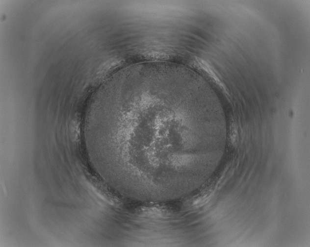 X0000089970259200707131430