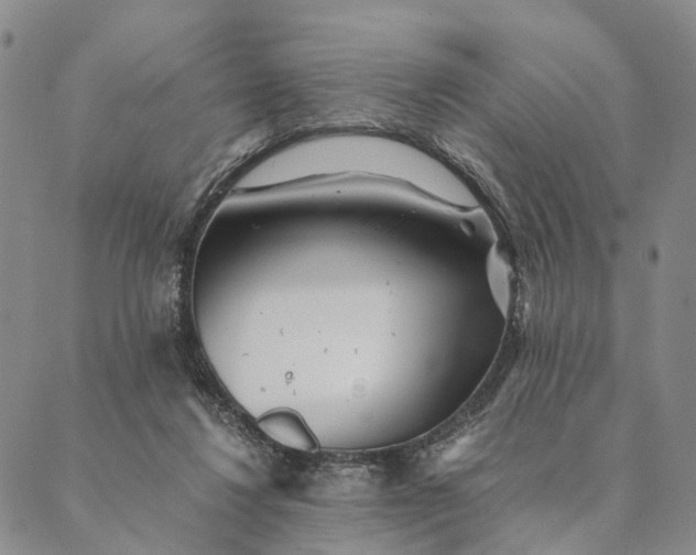 X0000089970260200707131430