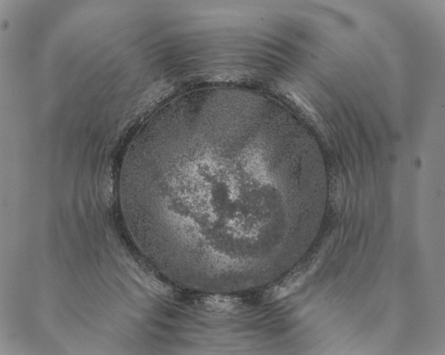 X0000089970261200707131430