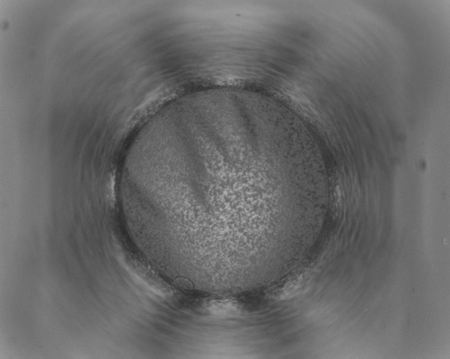 X0000089970262200707131430