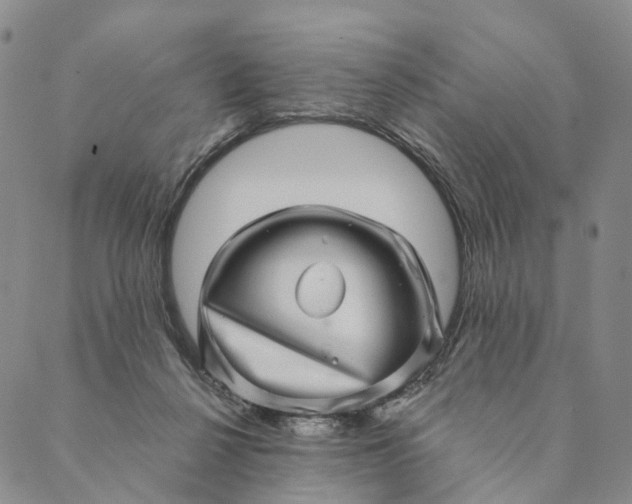 X0000089970264200707131430