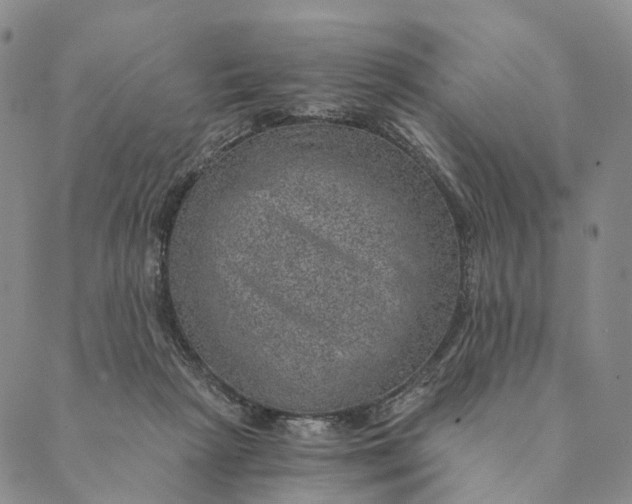 X0000089970265200707131430