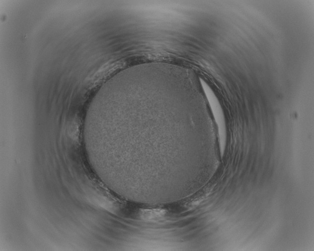 X0000089970266200707131430