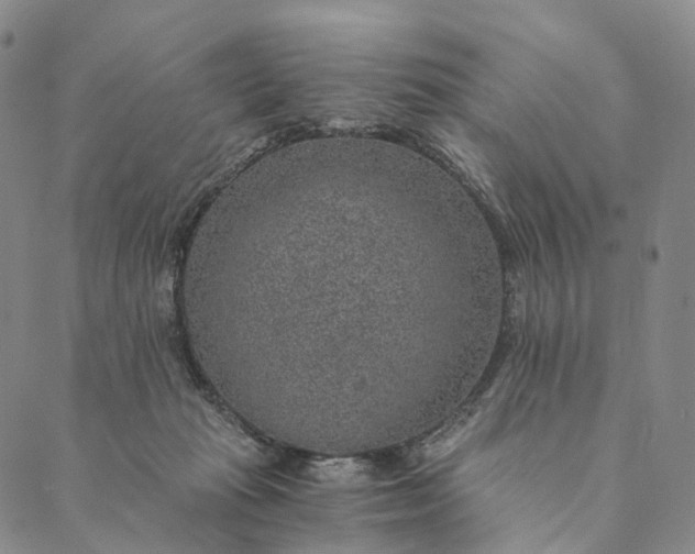 X0000089970269200707131430