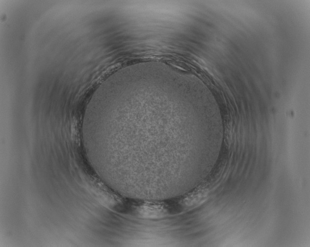 X0000089970270200707131430