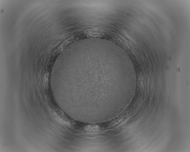 X0000089970271200707131430