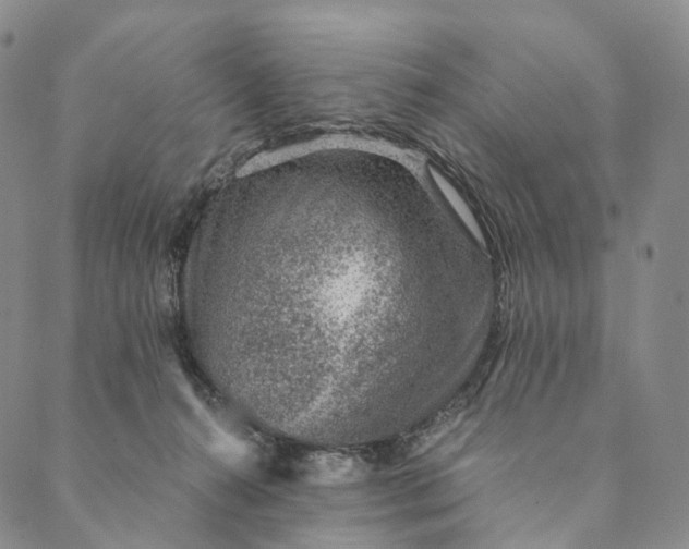 X0000089970272200707131430