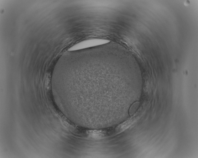 X0000089970273200707131430