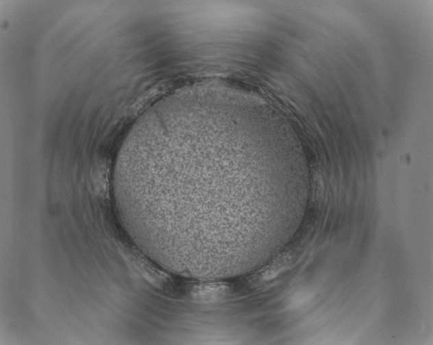 X0000089970274200707131430