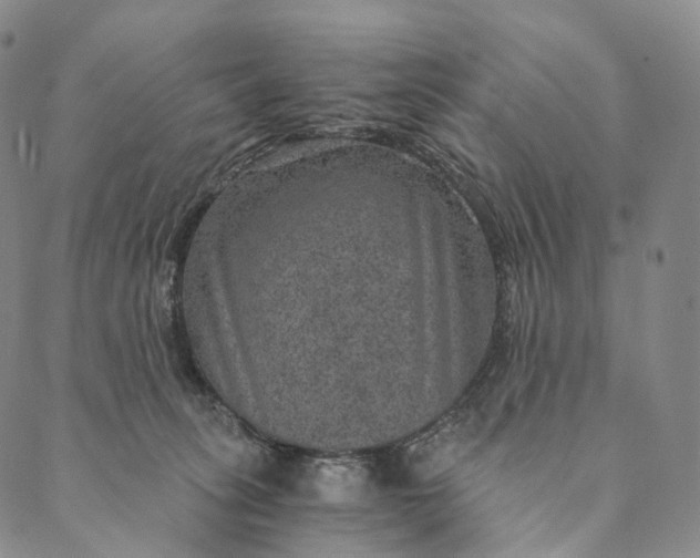 X0000089970275200707131430