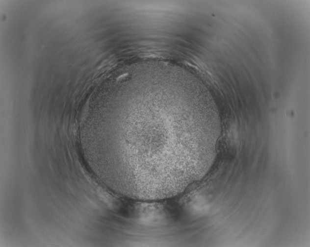 X0000089970277200707131430