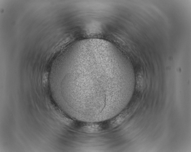 X0000089970278200707131430