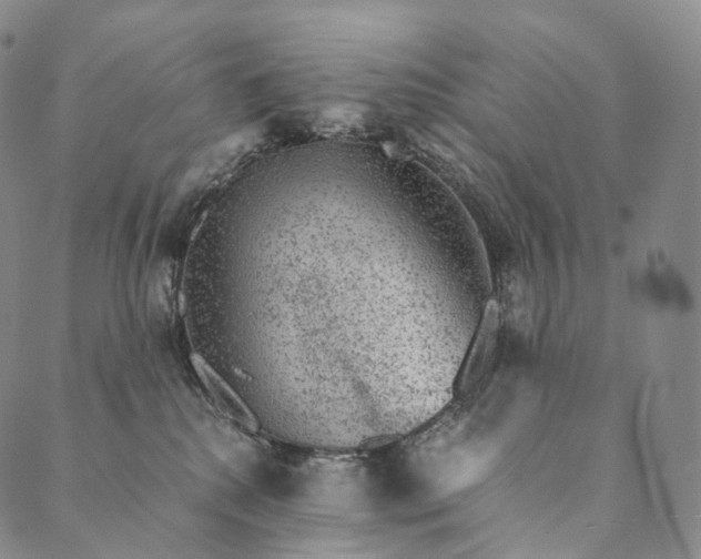 X0000089970280200707131430