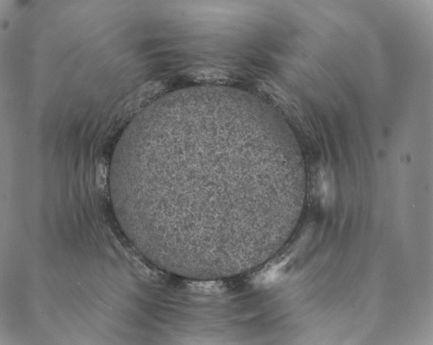 X0000089970281200707131430