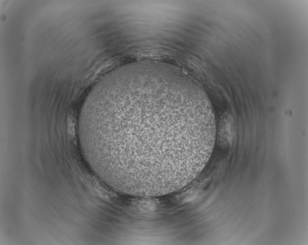 X0000089970282200707131430