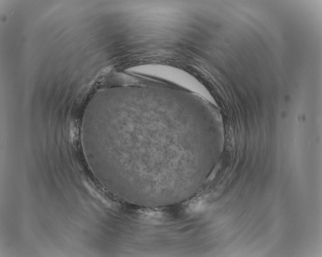 X0000089970284200707131430