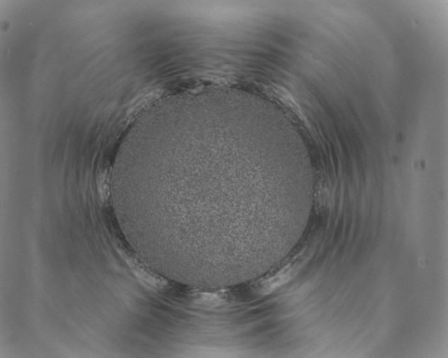 X0000089970285200707131430