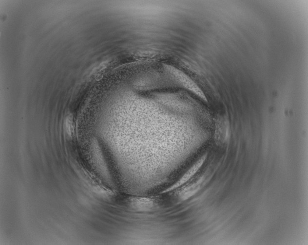 X0000089970287200707131430