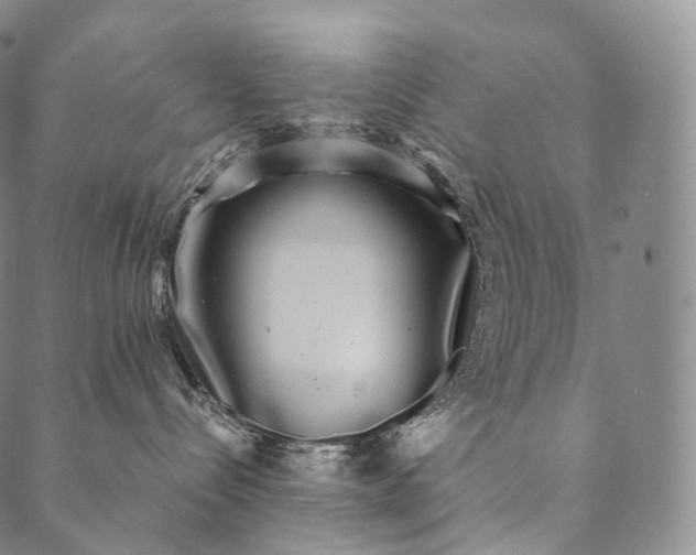 X0000089970288200707131430