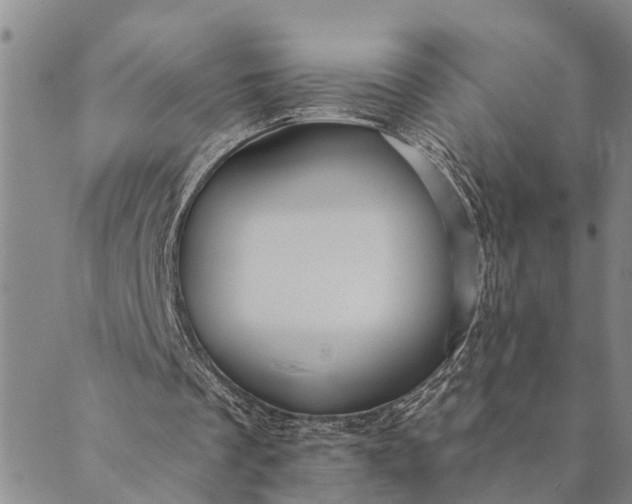 X0000089970289200707131430