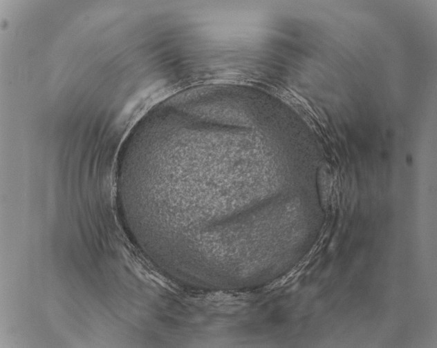 X0000089970290200707131430