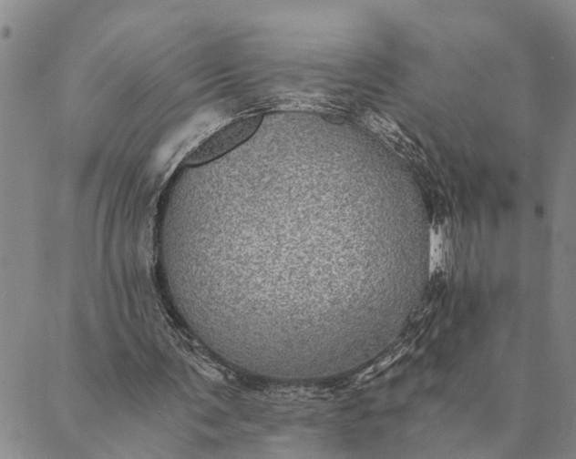 X0000089970291200707131430